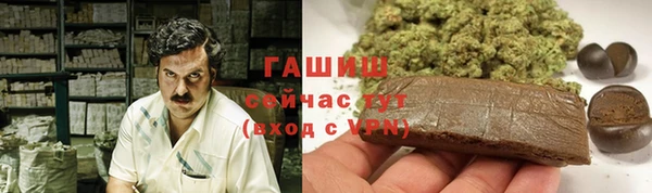 тгк Горнозаводск
