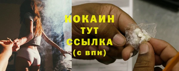 тгк Горнозаводск