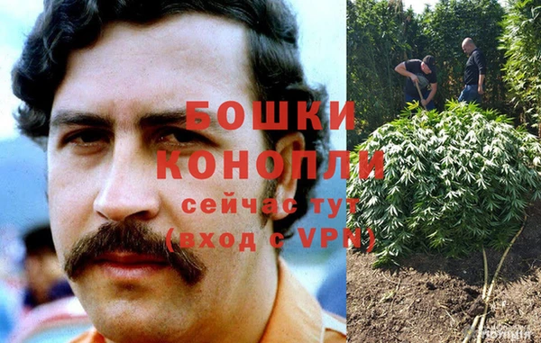 трава Горняк