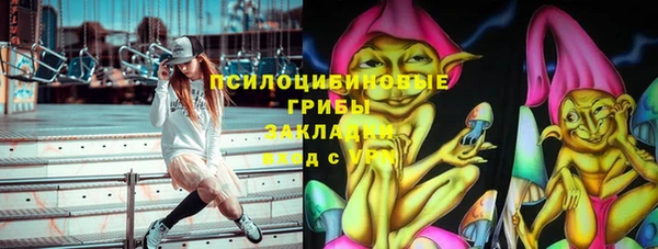 тгк Горнозаводск